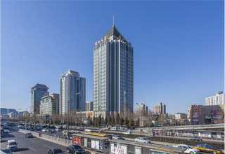 上海高效氨氮去除剂供货商